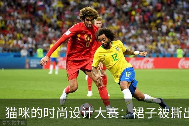 猫咪的时尚设计大赛：裙子被撕出时尚圈新趋势！